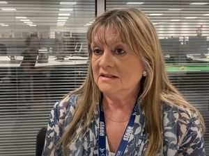 Supporting image for story: Ladder for Staffordshire: County council launches fully-funded recruitment service for business