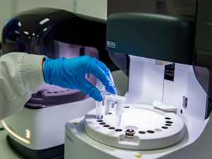 Supporting image for story: Further 25 Covid-19 deaths in hospitals, figures show