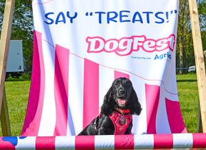 Ragley Hall's DogFest supported the Spaniel Rescue Foundation, raising funds and standing by to answer all questions related to Spaniel care and adoption!