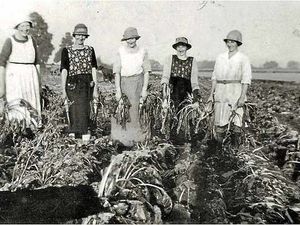 Supporting image for story: Exhibition delves into 10,000 years of Shropshire parish's history