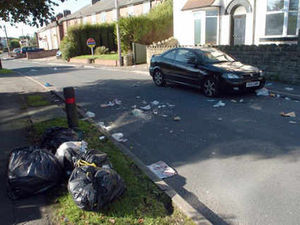 Supporting image for story: Rat fears as yobs rip open bin bags
