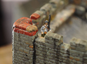 Details of the model
