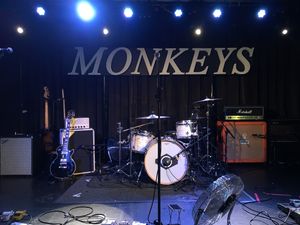 Supporting image for story: £15k worth of equipment stolen from Antarctic Monkeys tribute band