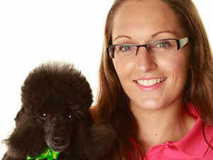 Supporting image for story: Profile: Cheryl Greenhough