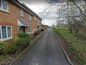 Supporting image for story: RSPCA launches appeal after four dead rabbits found in burned out car