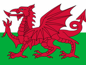 Supporting image for story: Welsh language primary school in Newtown officially opened