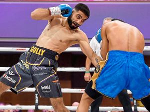 Supporting image for story: TV star Gully steps back on the Powar