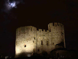 Supporting image for story: PJs, bats and bees set summer scene in Sandwell
