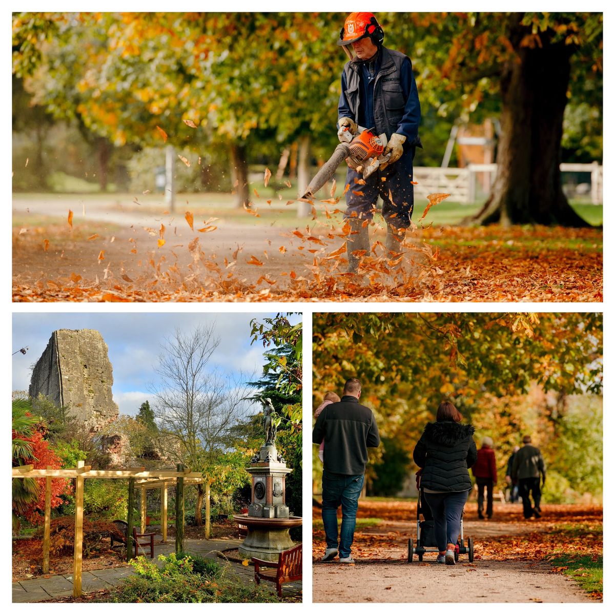 Falling for Shropshire: 40 stunning autumn scenes from the archives
