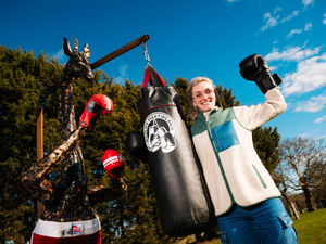 Supporting image for story: British Ironwork Centre's boxing giraffe sculpture weighs in with important environmental message