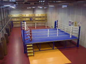 Supporting image for story: Fighters toil in CYP and ABA area finals