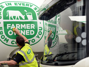 Supporting image for story: Arla to pay dairy farmers £31m
