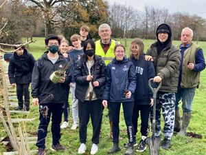 Supporting image for story: Partnership leads to improving the green canopy in Oswestry