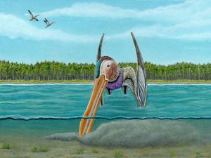 Supporting image for story: Pterosaurs evolved sensitive beaks to find food, study suggests