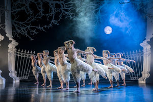Matthew Bourne's Swan Lake. Pictures by: Johan Persson