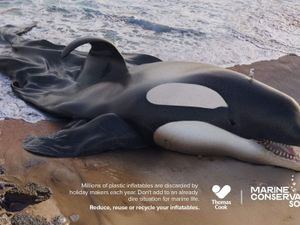 Supporting image for story: Holidaymakers urged to reduce, reuse or recycle swimming inflatables