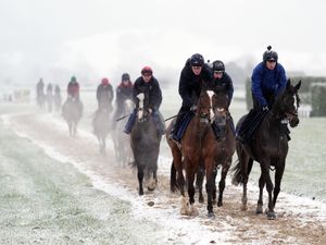 Horses on the snow-covered gallops on day two of the 2025 Cheltenham Festival at Cheltenham Racecourse