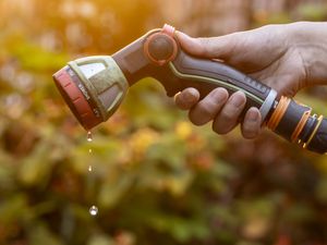 Supporting image for story: Million more face hosepipe ban after dry spell