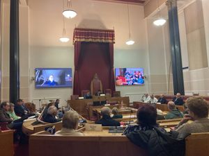 The meeting of Dudley's Communities and Growth Scrutiny Committee where friends of parks groups said they felt undervalued. Picture Martyn Smith/LDRS free for LDRS use