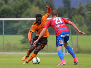 Supporting image for story: Wolves 2 Viktoria Plzen 1 - Report and pictures