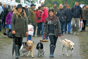 Supporting image for story: Crowds pour into Weston Park for Midland Game Fair