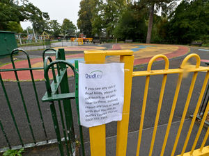 Supporting image for story: Parts of Stourbridge park closed off for second day after suspected bird flu outbreak