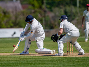 Supporting image for story: Wellington’s bowlers lead charge to the summit