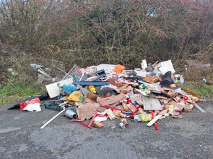 Supporting image for story: Fly-tippers fined over shocking Shropshire lay-by dump with images show the huge mound of filthy waste, including stale Madeira Cakes