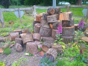 Supporting image for story: Vandals destroy newly-restored bee haven in Ellesmere