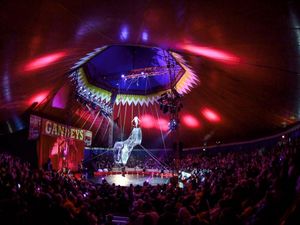 Supporting image for story: Life in the circus ring: We speak to the performers in Gandeys Circus ahead of Dudley show