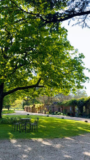 Some of Natasja's work for Airbnb