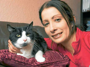 Supporting image for story: Rescue after cat found impaled on railings