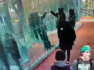 Supporting image for story