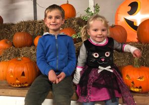 Supporting image for story