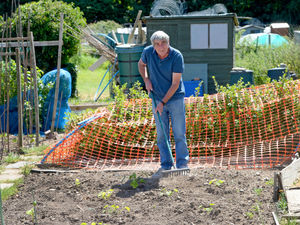 Supporting image for story: Reaping the rewards from their work on the allotment