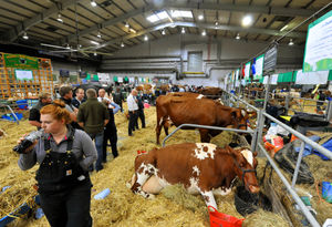 UK Dairy Day in Telford