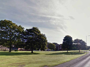 Supporting image for story: Row over bungalows proposal on Ludlow land earmarked as a green