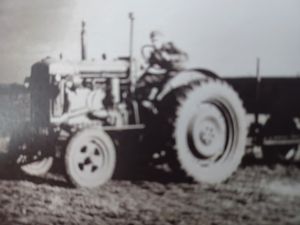 Supporting image for story: 'We were offered a free pint and a seat - amazing what the power of sheep dip can achieve' - new book recalls life on the farm
