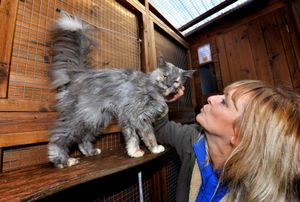 Marion Micklewright, shelter manager, with resident Ralph
