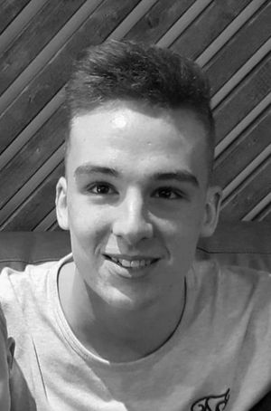 Supporting image for story