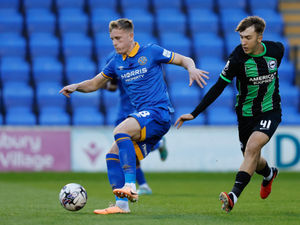 Supporting image for story: Shrewsbury Town loan duo return to parent clubs after injury frustration 