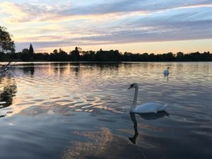 Supporting image for story: Staycation boom leads to glamping pods