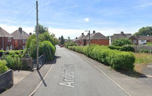 Ardern Avenue, in Dawley, Telford. Picture: Google Maps