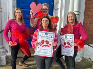 Supporting image for story: February half-term events for Ludlow announced