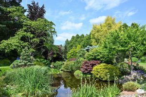 John Massey's garden in Kingswinford, West Midlands.