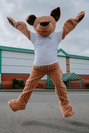 Nugget the Newlife Ambassadog.
