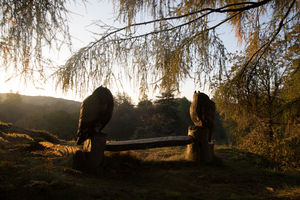 The Wild Boar in Windermere