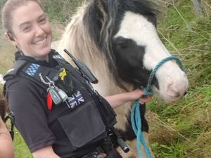 Supporting image for story: Police gallop to rescue of runaway horse in Bridgnorth