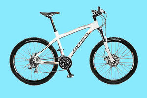 A Carrera bike like the one that was stolen from Aaron, worth around £850