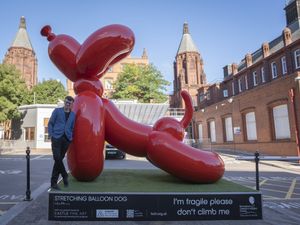 Supporting image for story: Clifford has competition as giant 14-foot dog unveiled at hospital